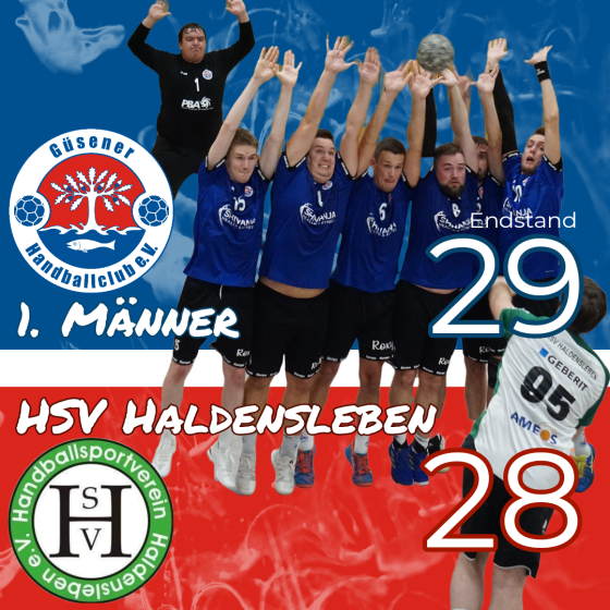 Heimsieg gegen HSV Haldensleben - Bild: 1